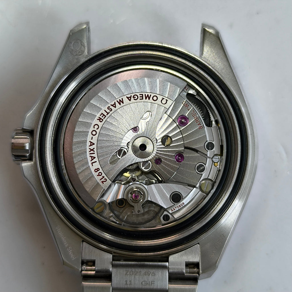 Omega Seahorse Series 42 millimeters 21730422101003