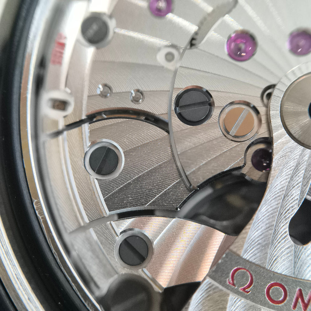 Omega Seahorse Series 42 millimeters 21730422101003