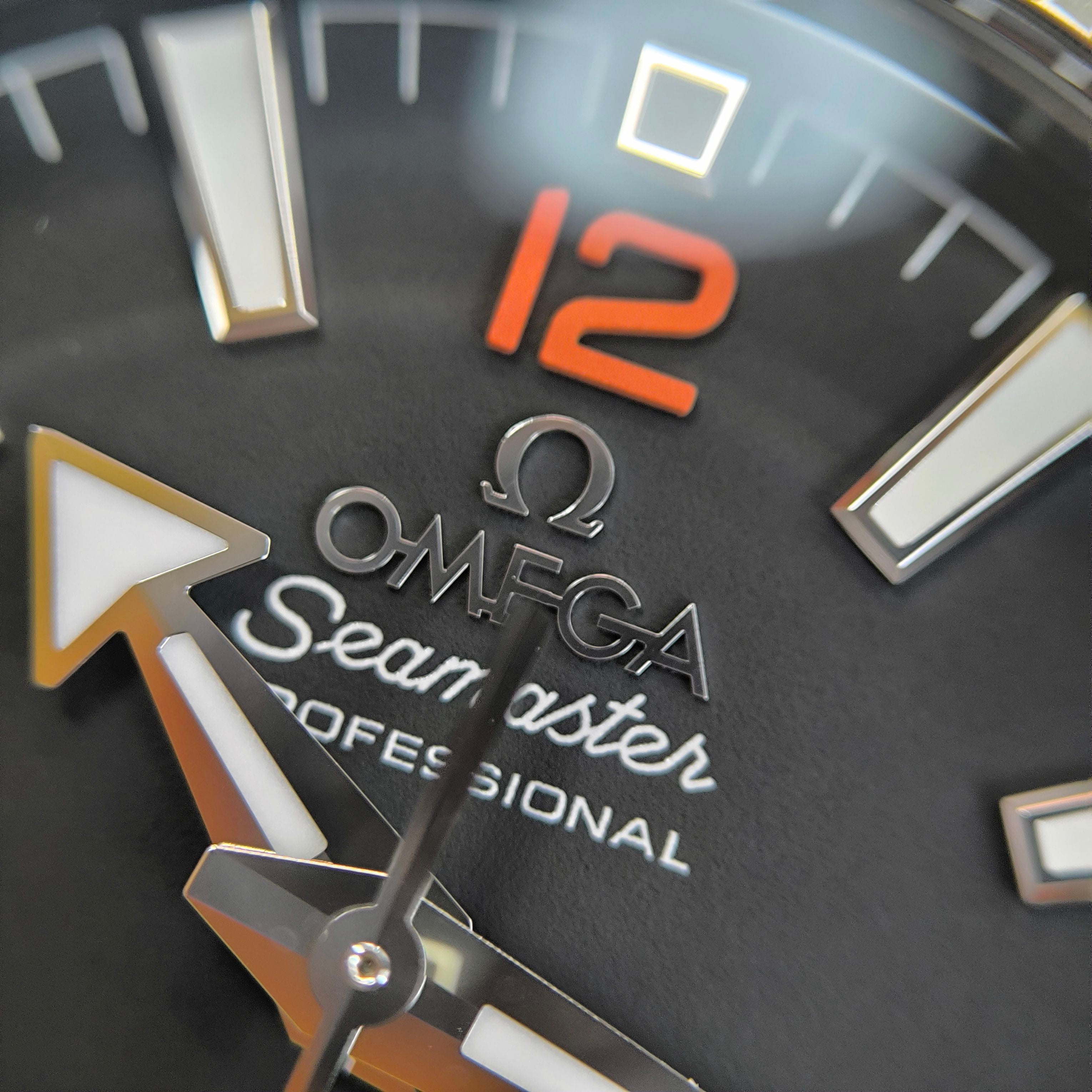 Omega Seahorse Series 42 millimeters 21730422101003