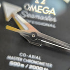 Omega Seahorse Series 42 millimeters 21730422101003