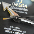 Omega Seahorse Series 42 millimeters 21730422101003