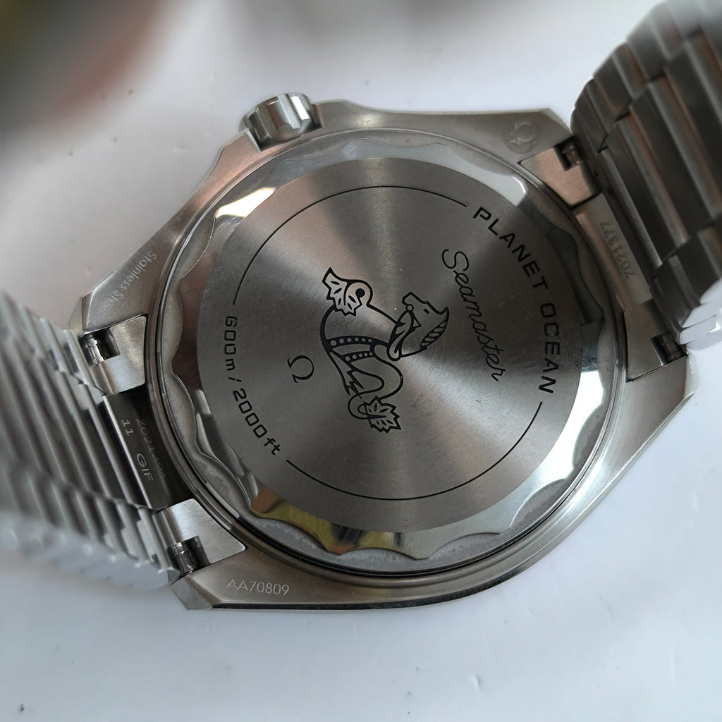 Omega Seahorse Series 42 millimeters 21730422101003
