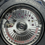 Omega Seahorse Series 43.5 210.92.44.20.01.003