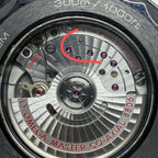 Omega Seahorse Series 43.5 210.92.44.20.01.003