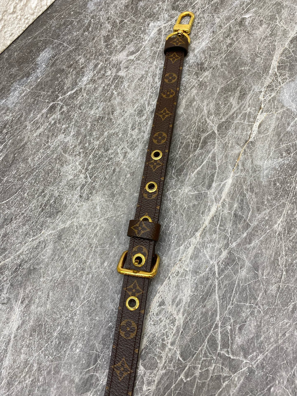 Louis Vuitton Crossbody