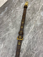 Louis Vuitton Crossbody