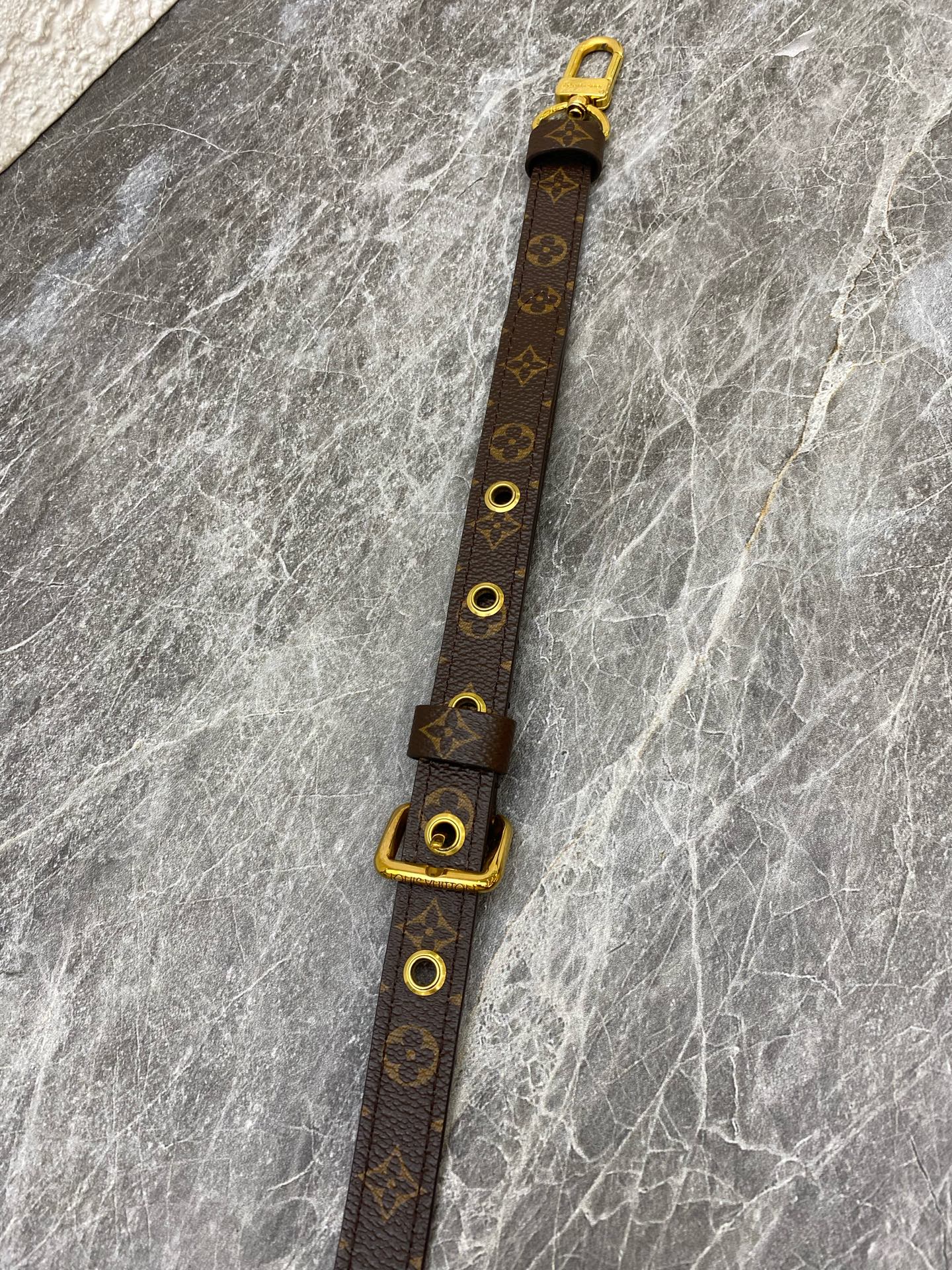 Louis Vuitton Crossbody