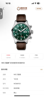 IWC Green Automatic (self-winding) watch