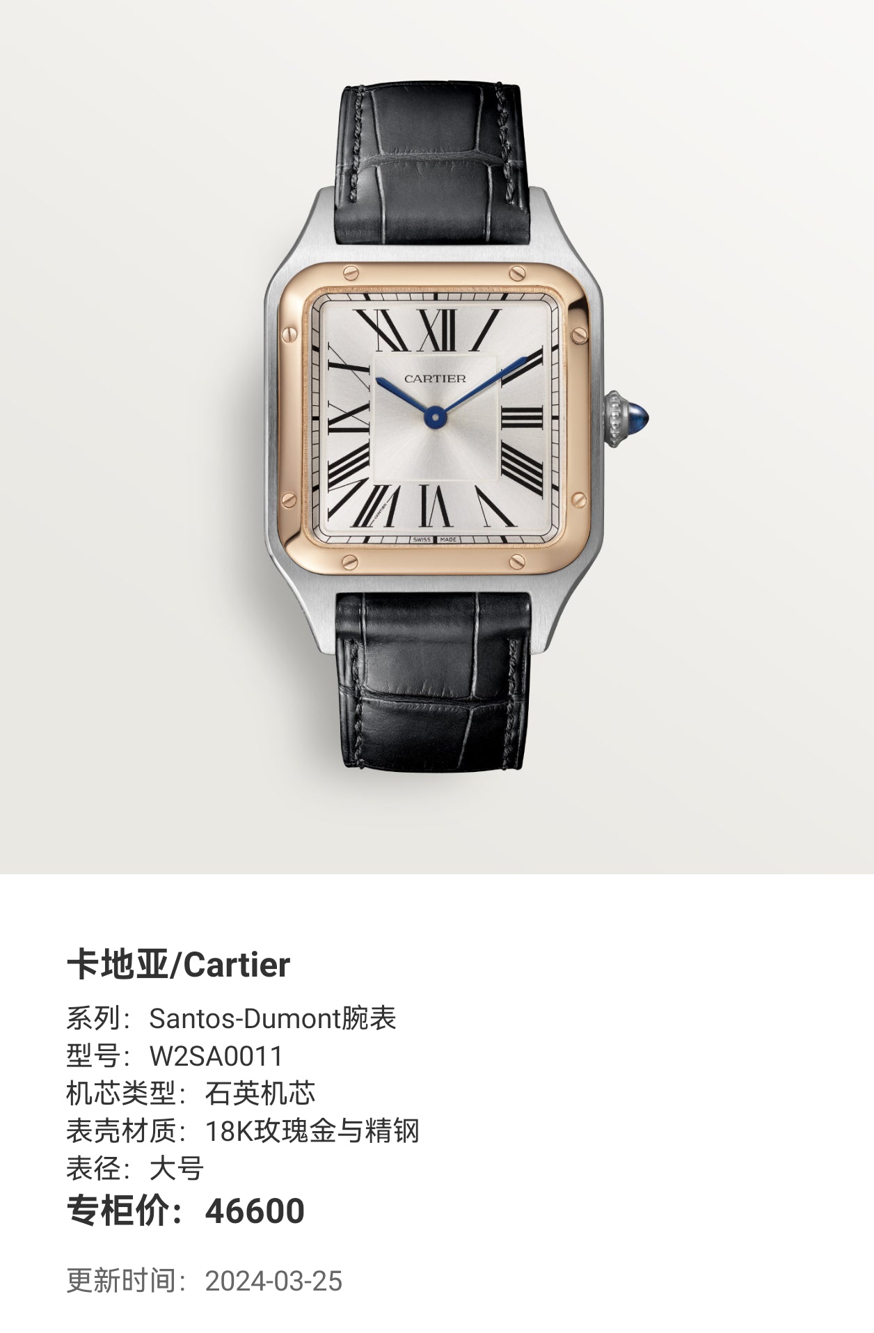 Cartier Santos-Dumont watch Large size W2SA0011