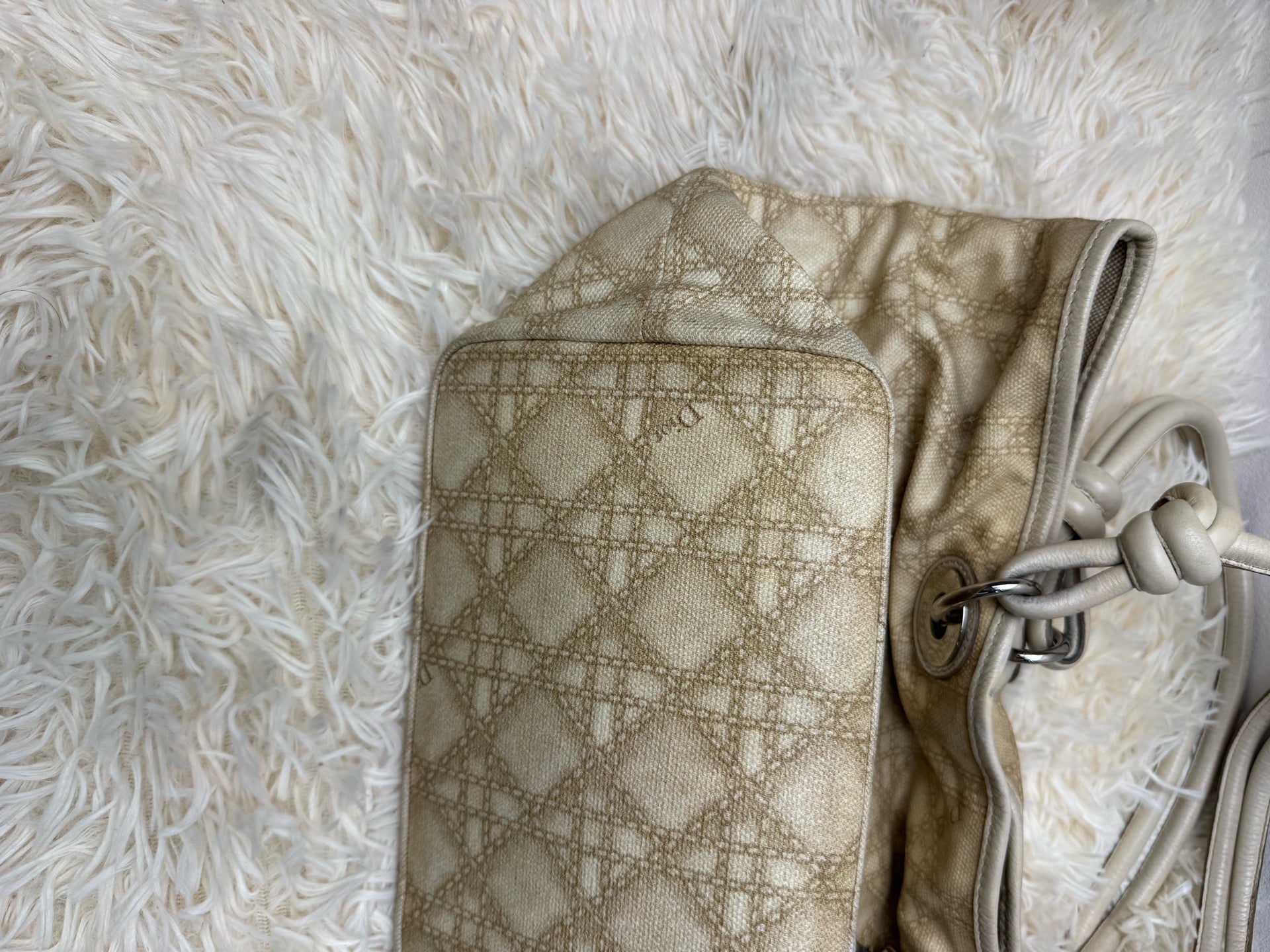 Dior Shoulder Bag