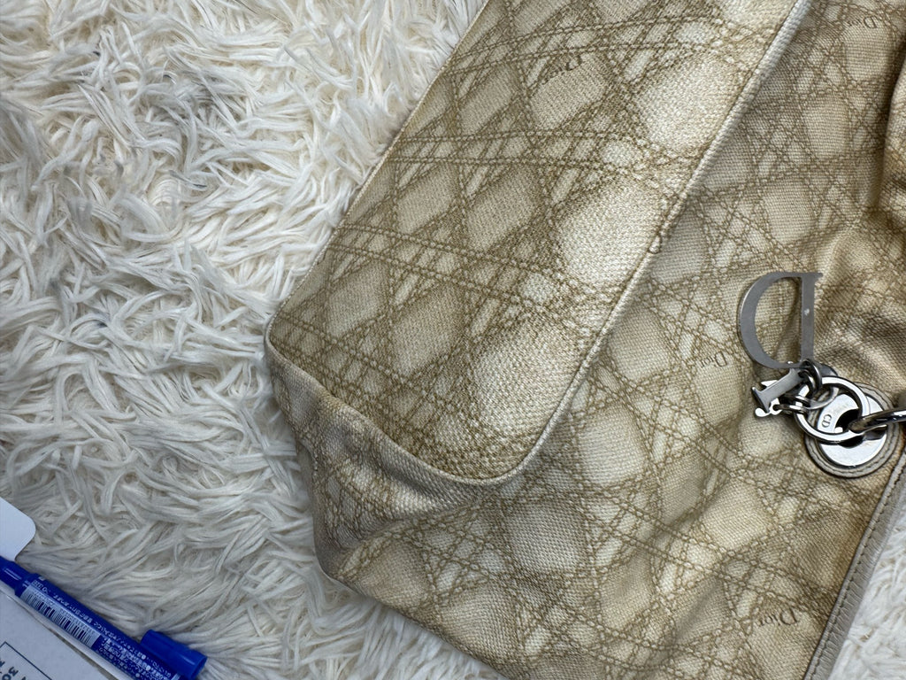 Dior Shoulder Bag