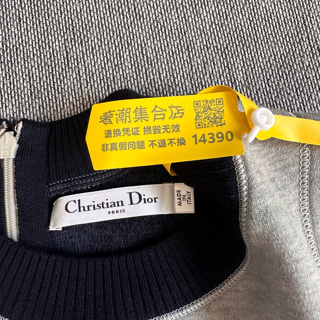 Dior Dress