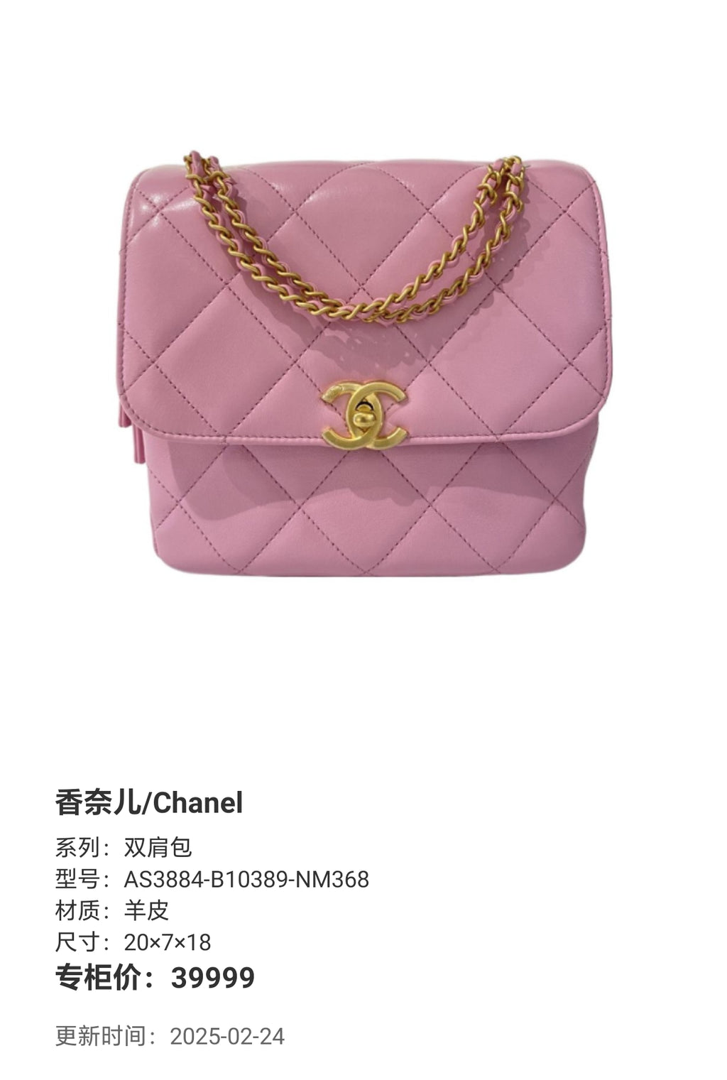 Chanel Backpack Backpack 20×7×18 AS3884-B10389-NM368
