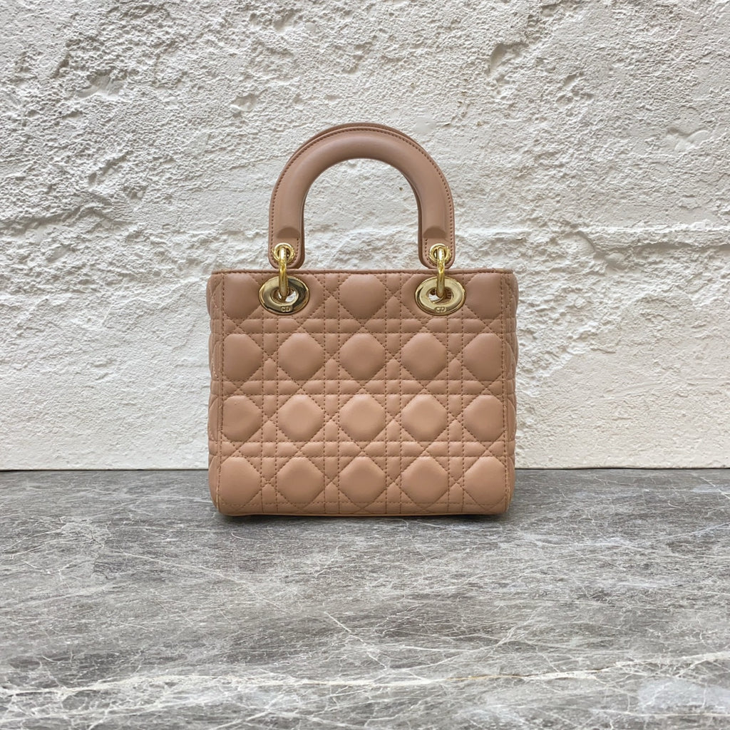 Dior Crossbody