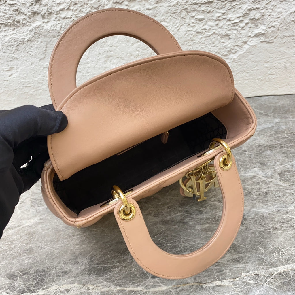 Dior Crossbody