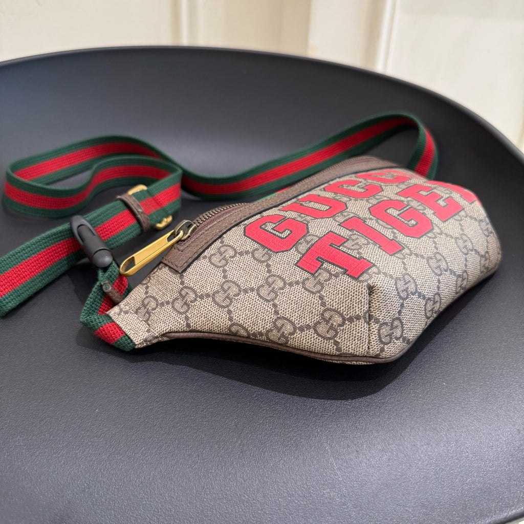 Gucci Sling Bag 675181US7DC9395