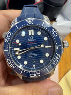 Omega Seahorse Series 42 210.32.42.20.03.001