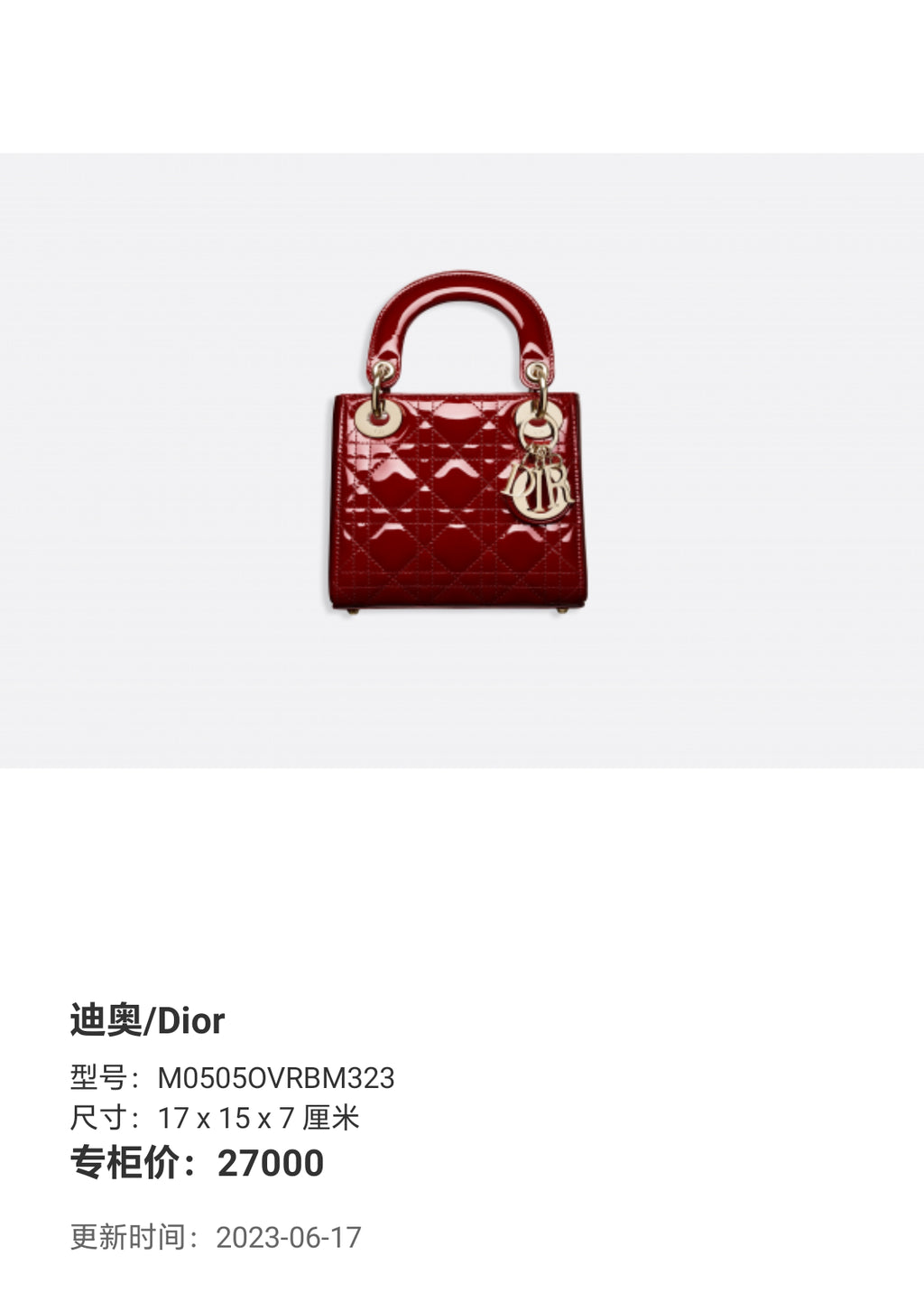 Dior 17 x 15 x 7 centimeters M0505OVRBM323