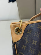 Louis Vuitton Tote