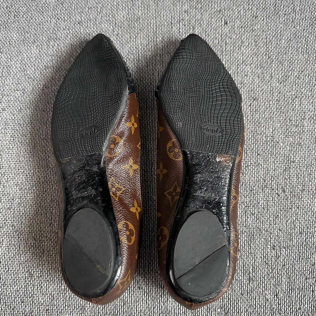 Louis Vuitton Canvas