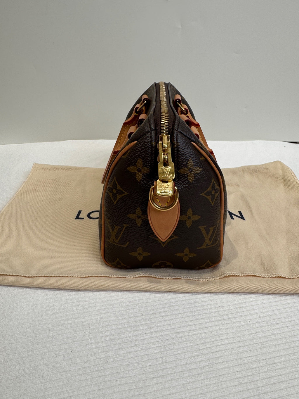 Louis Vuitton Shoulder Bag