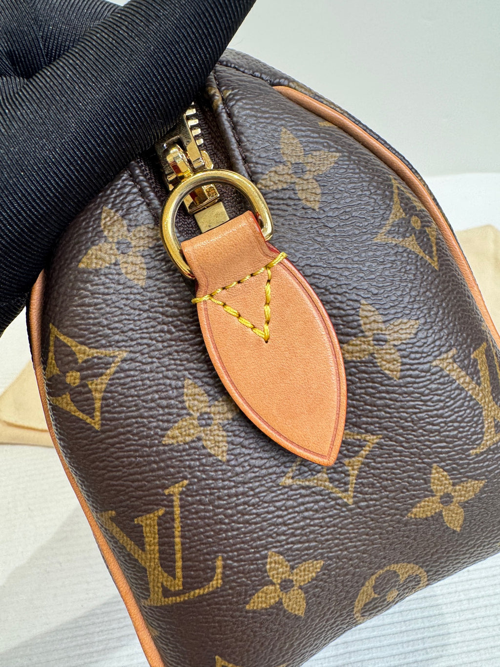 Louis Vuitton Shoulder Bag