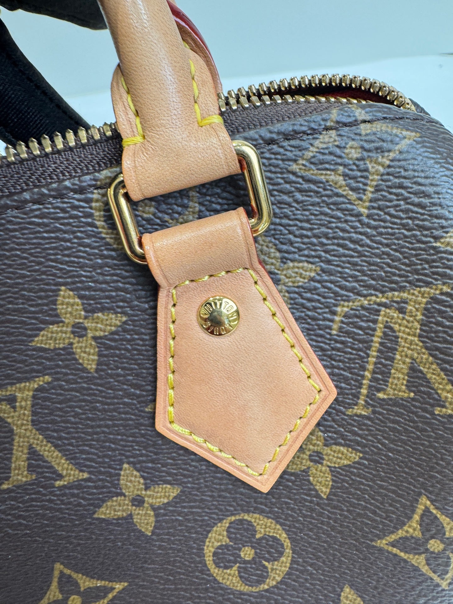 Louis Vuitton Shoulder Bag