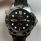Omega Seahorse Series 42 210.32.42.20.01.001