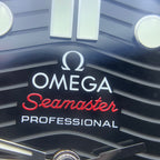 Omega Seahorse Series 42 210.32.42.20.01.001