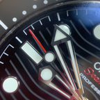 Omega Seahorse Series 42 210.32.42.20.01.001