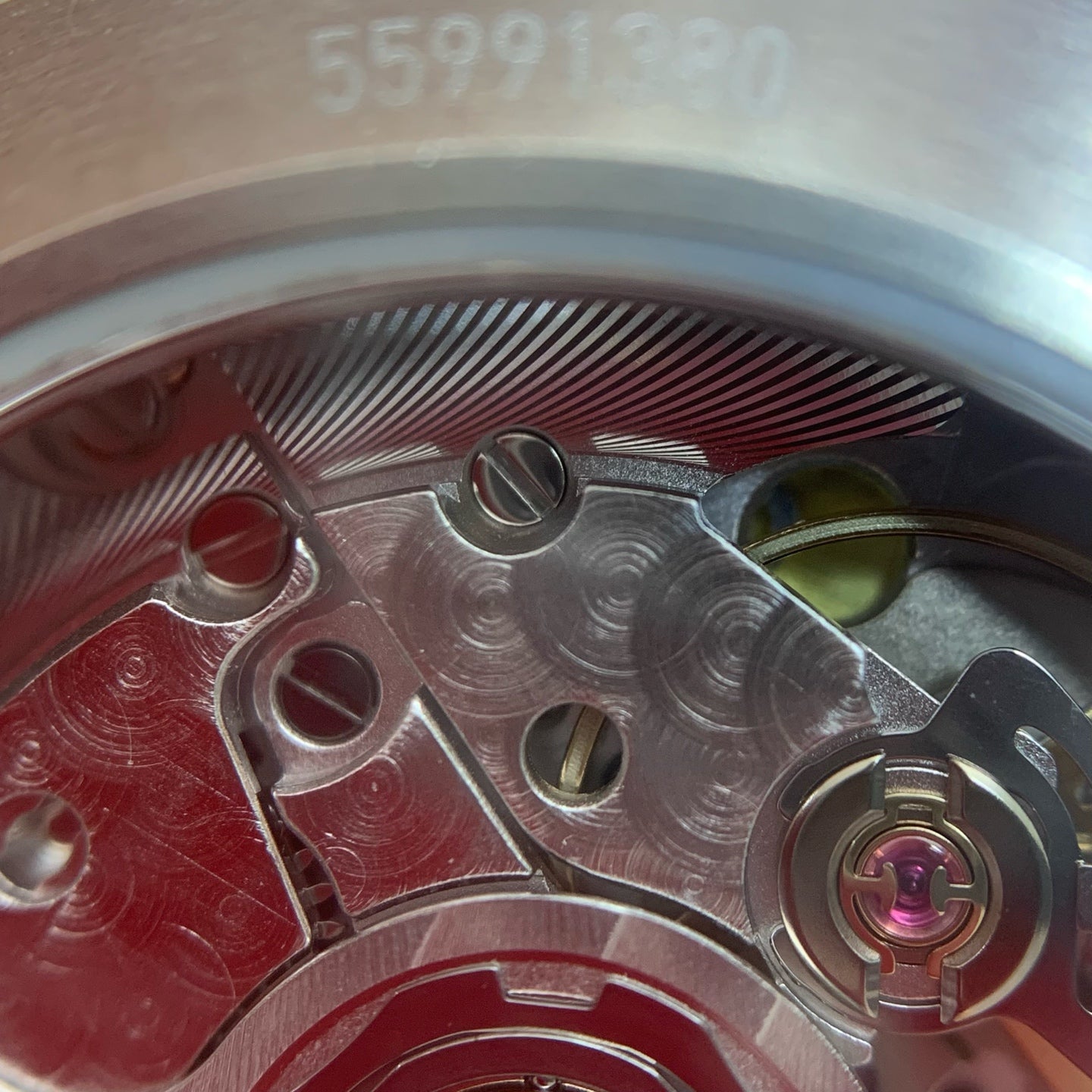 Longines Conquest Series 34.00 L3.430.4.92.9