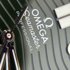 Omega Seahorse Series 42 210.30.42.20.10.001