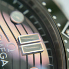Omega Seahorse Series 42 210.30.42.20.10.001