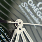 Omega Seahorse Series 42 210.30.42.20.10.001