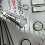 Omega Seahorse Series 42 210.30.42.20.04.001