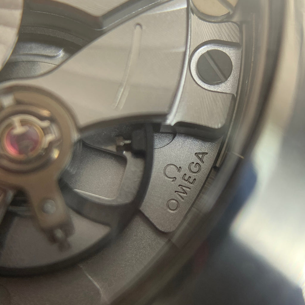 Omega Seahorse Series 42 210.30.42.20.04.001