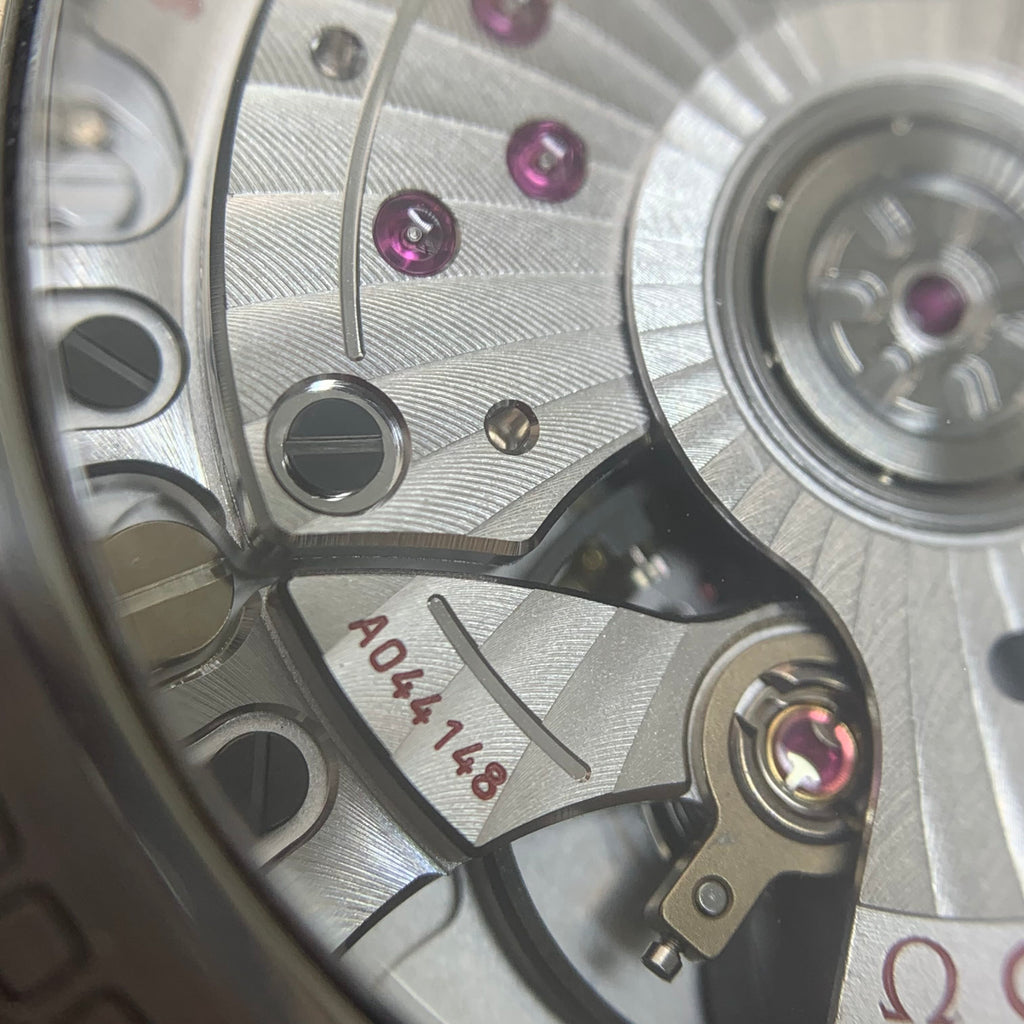 Omega Seahorse Series 42 210.30.42.20.04.001