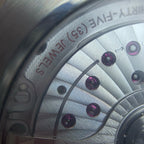 Omega Seahorse Series 42 210.30.42.20.04.001