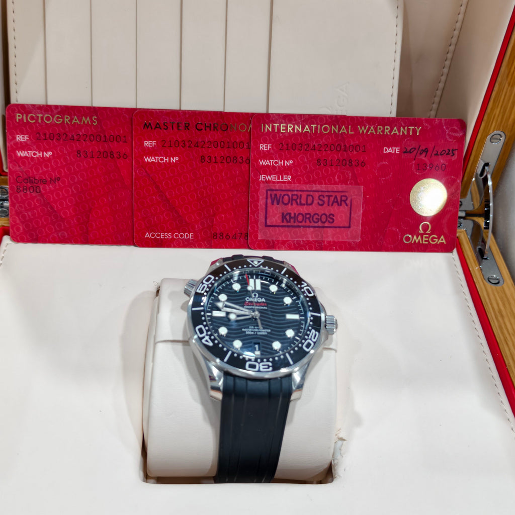 Omega Seahorse Series 42 210.32.42.20.01.001