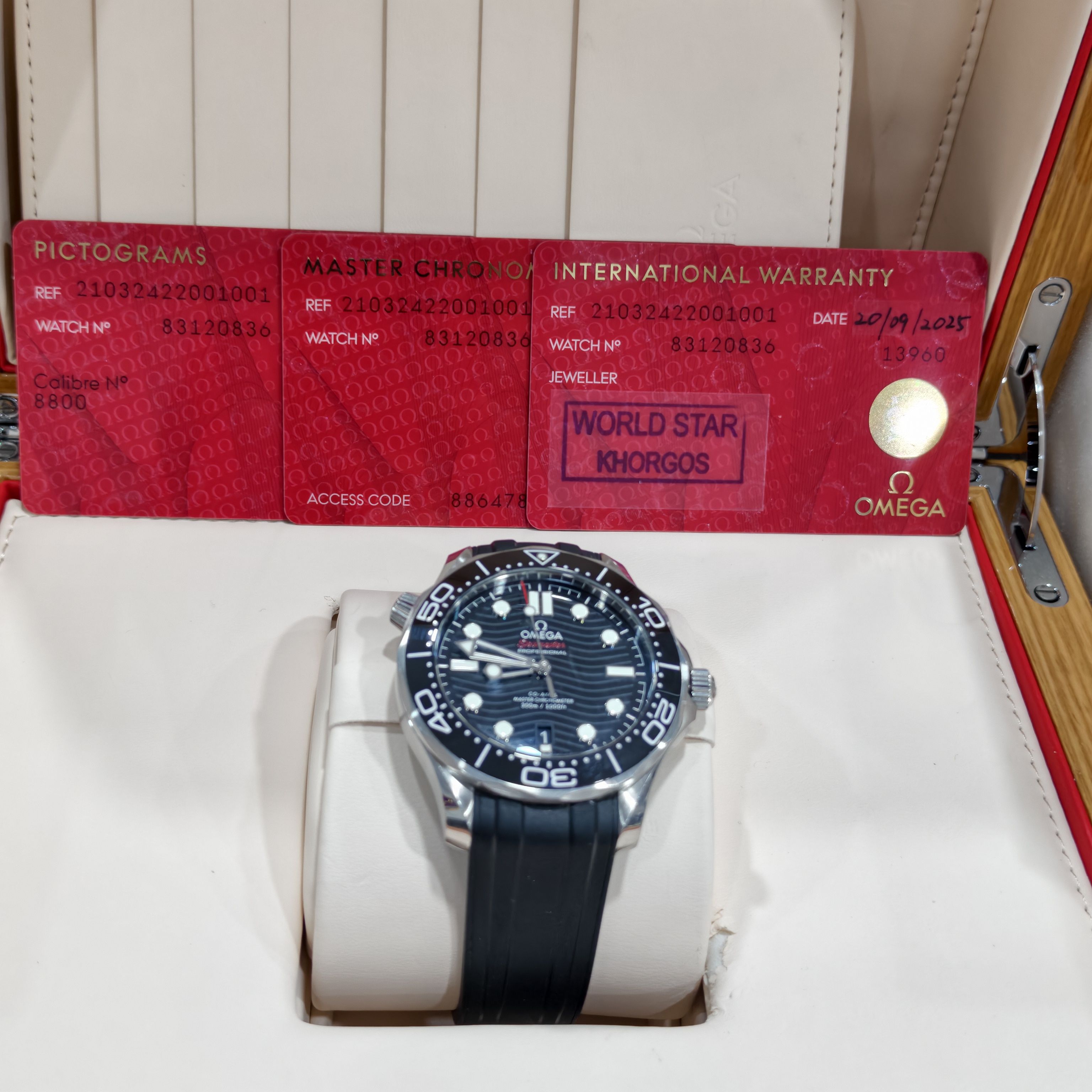 Omega Seahorse Series 42 210.32.42.20.01.001