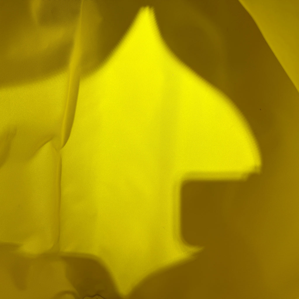Louis Vuitton Yellow M58748
