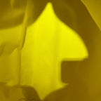 Louis Vuitton Yellow M58748