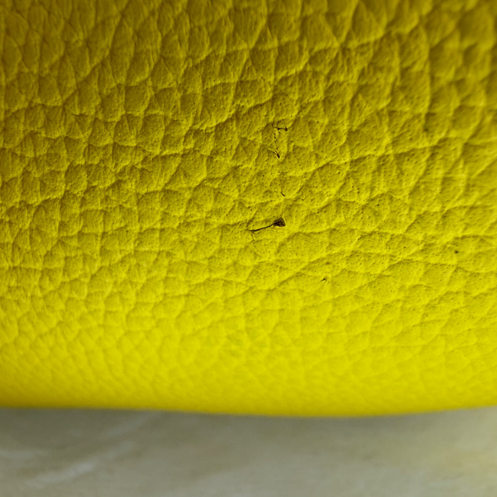 Louis Vuitton Yellow M58748