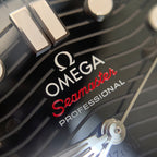 Omega Seahorse Series 42 210.32.42.20.01.001