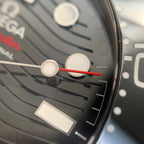 Omega Seahorse Series 42 210.32.42.20.01.001