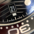 Omega Seahorse Series 42 210.32.42.20.01.001