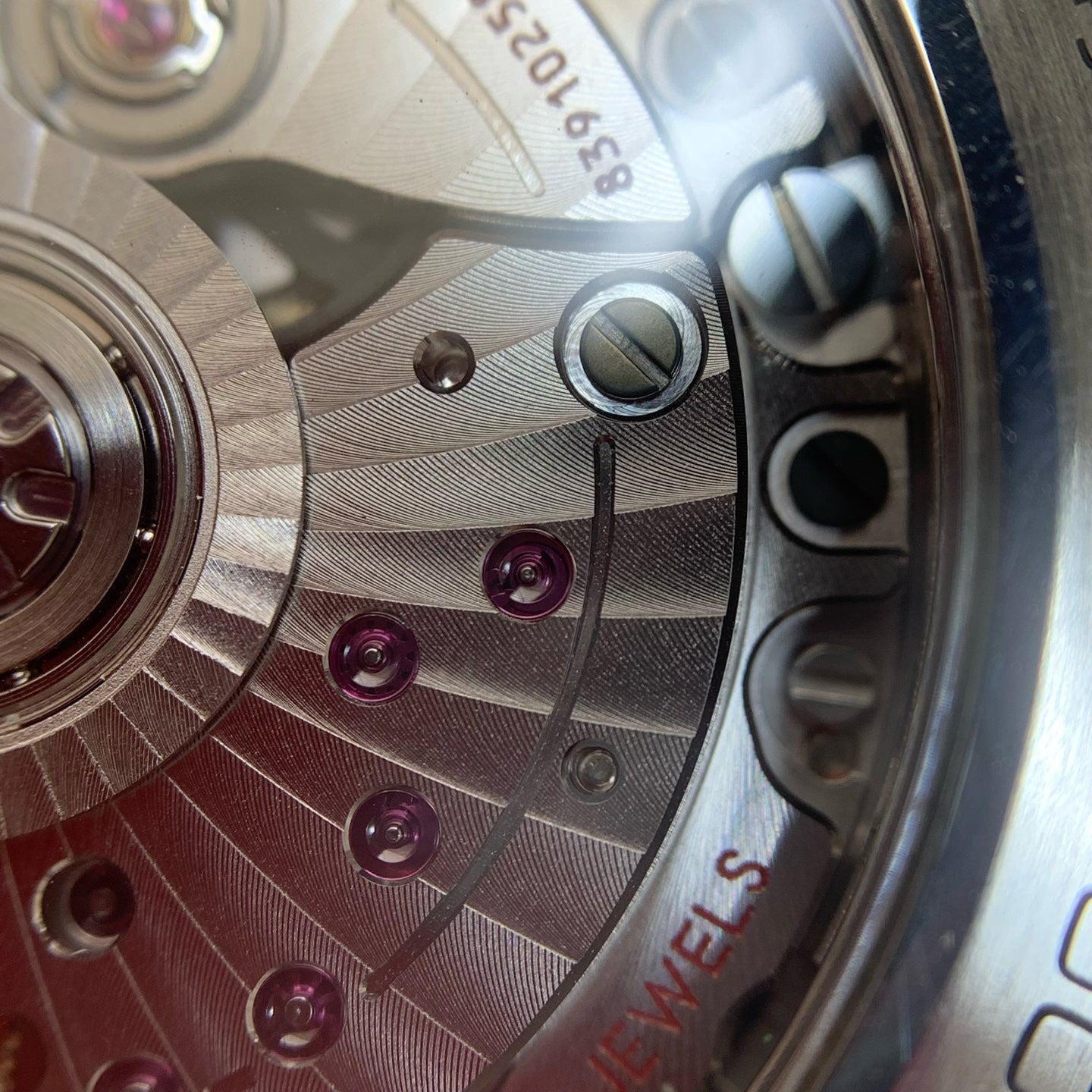 Omega Seahorse Series 42 210.32.42.20.01.001