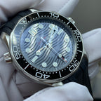 Omega Seahorse Series 42 210.32.42.20.01.001