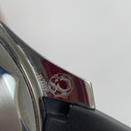 Omega Seahorse Series 42 210.32.42.20.01.001