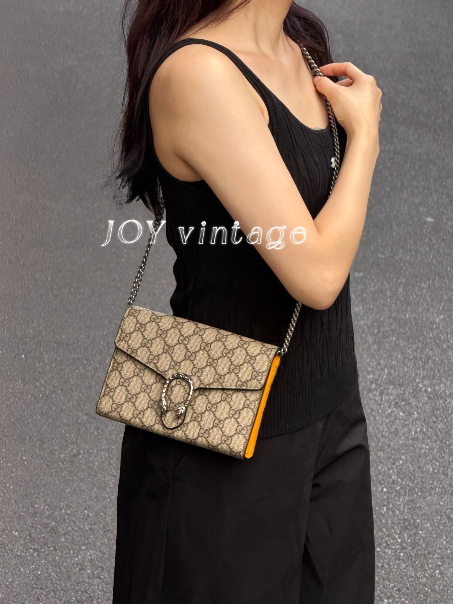 Gucci Dionysus Collection 20 cm (width) x 13 cm (height) x 6 cm (depth) 401231 KHNSN 8642